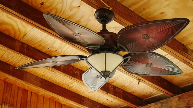 what is a wet-rated ceiling fan